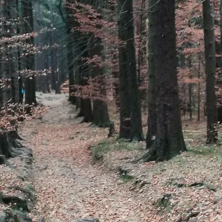 Podgorze 21 * Szklarska Poreba